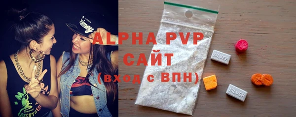 сатива Новодвинск