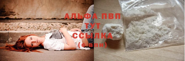 сатива Новодвинск