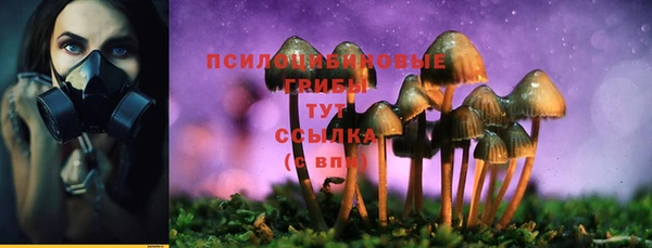 эйфоретик Новокубанск