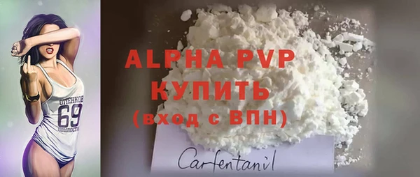 PSILOCYBIN Нея